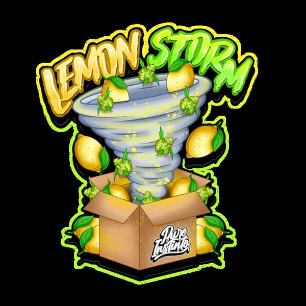 Lemon Storm Seed > Pure Instinto | Feminized Cannabis   |  Hybrid